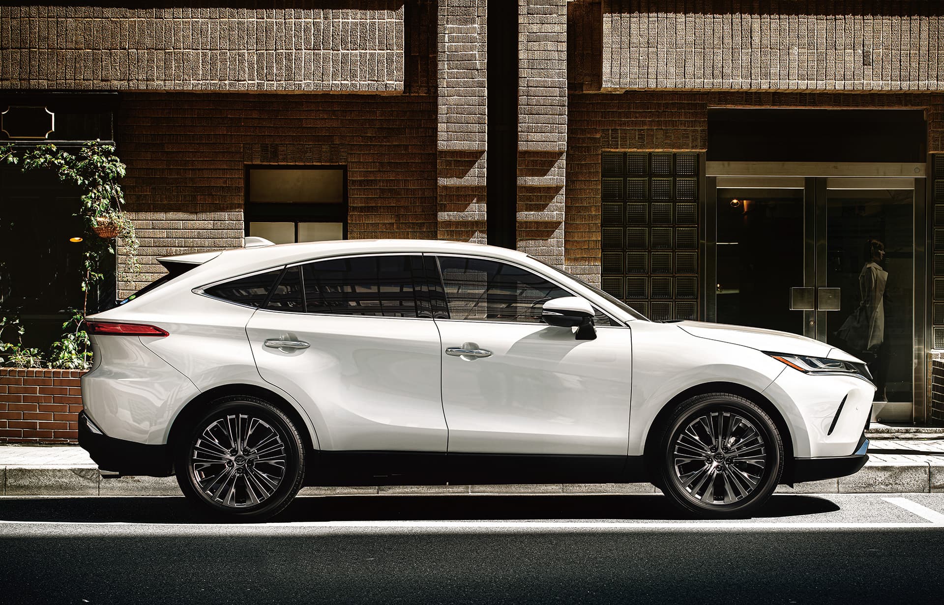 Zantrik Certified Harrier